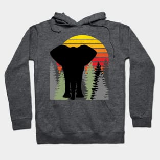 Vintage retro sunset art of zoo Hoodie